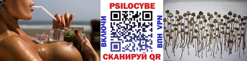 Купить закладки  Мелеуз  Галлюциногенные грибы MAGIC MUSHROOMS 